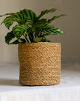 Natural Jute Planter in Five Sizes