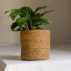 Natural Jute Planter in Five Sizes