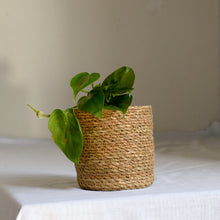 Load image into Gallery viewer, jute-baskets-fr-plants