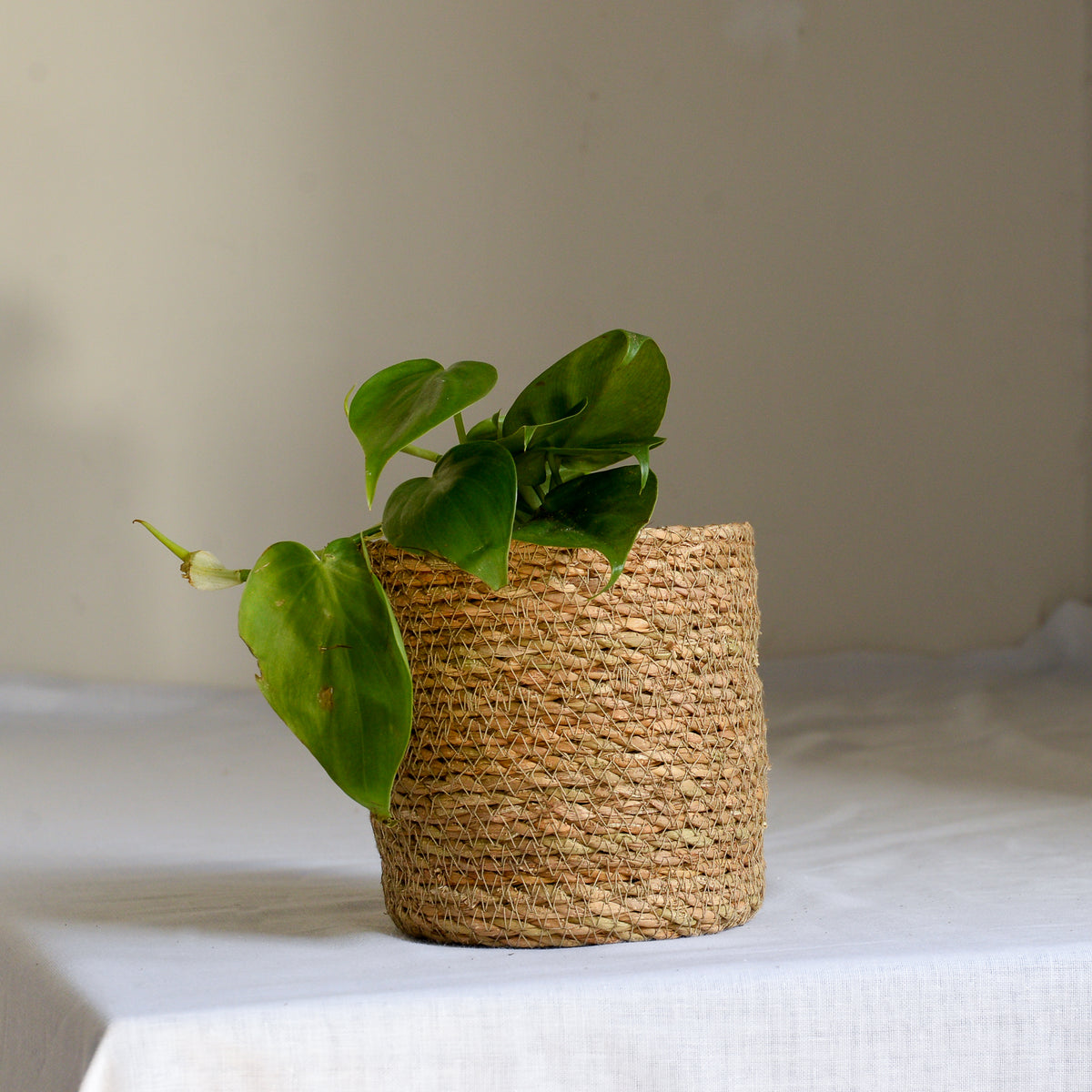 Natural Jute Planter in Five Sizes – Mon Pote