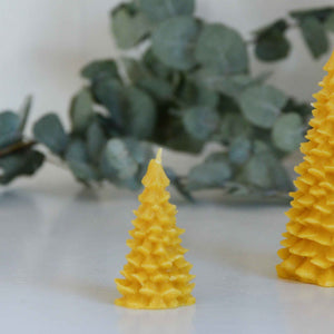 Small Fir Tree Beeswax Candle