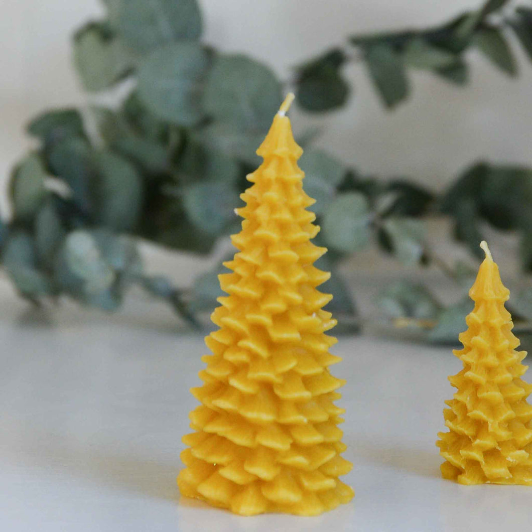 Large Fir Tree Beeswax Candle