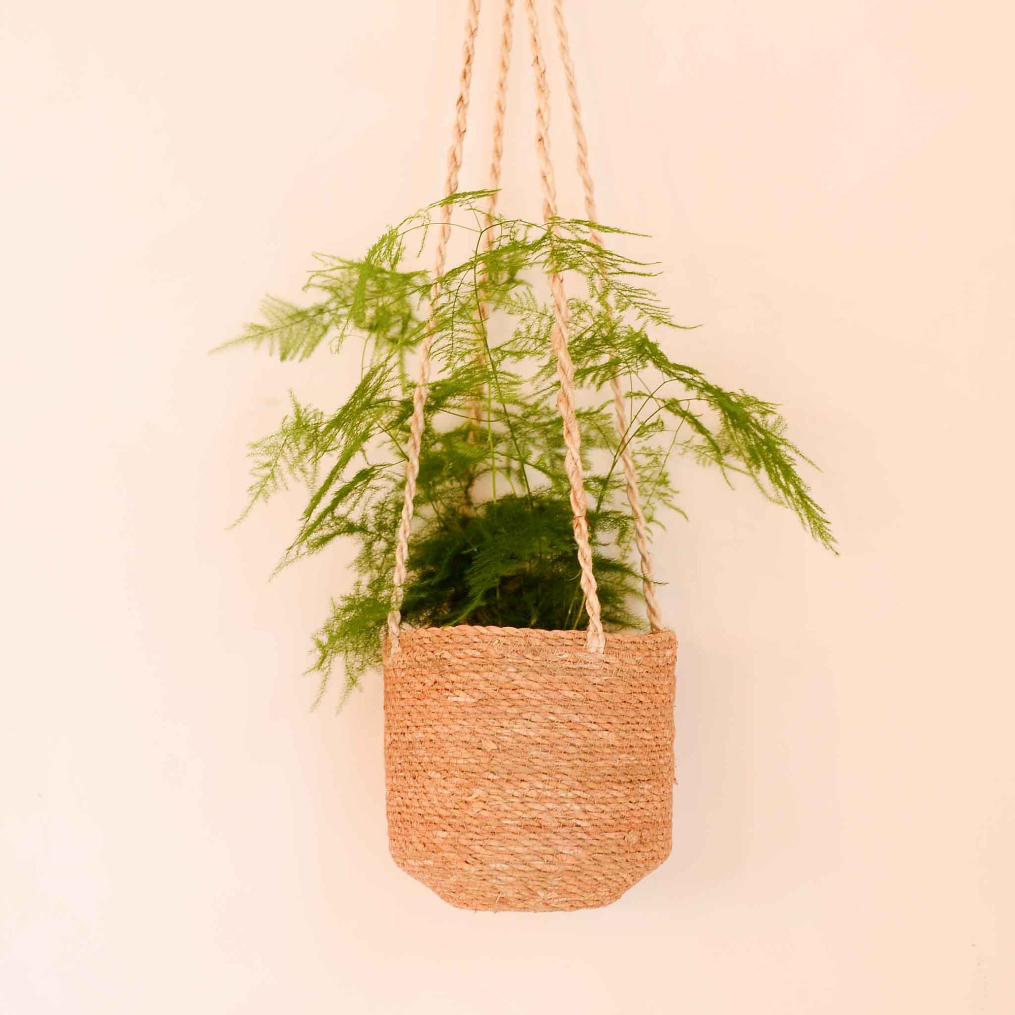 Wikholmform Belle Hanging Pot