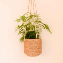 Load image into Gallery viewer, Wikholmform Belle Hanging Pot