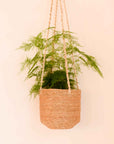 Wikholmform Belle Hanging Pot