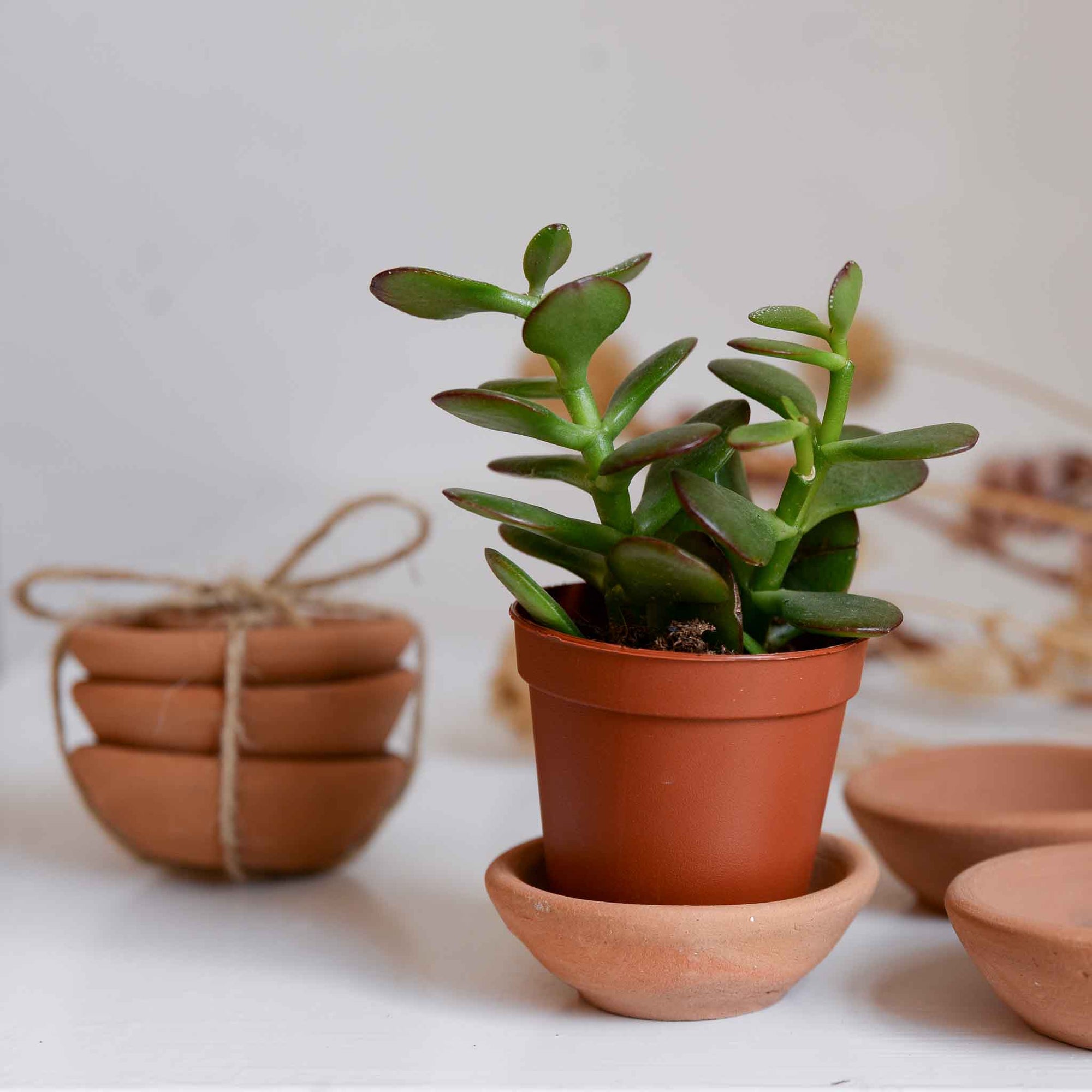 Marion terracotta bowl set of 3