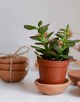 Marion terracotta bowl set of 3