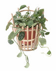 Vanda Wall Flowerpot, Nature, Terracotta