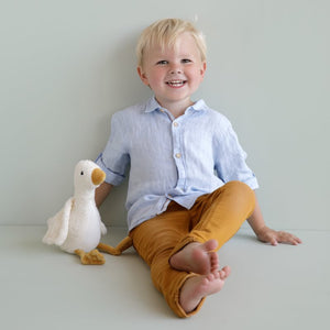 Small cuddly toy goose