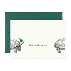 Card Nest Happy Birthday Old Boy Tortoise