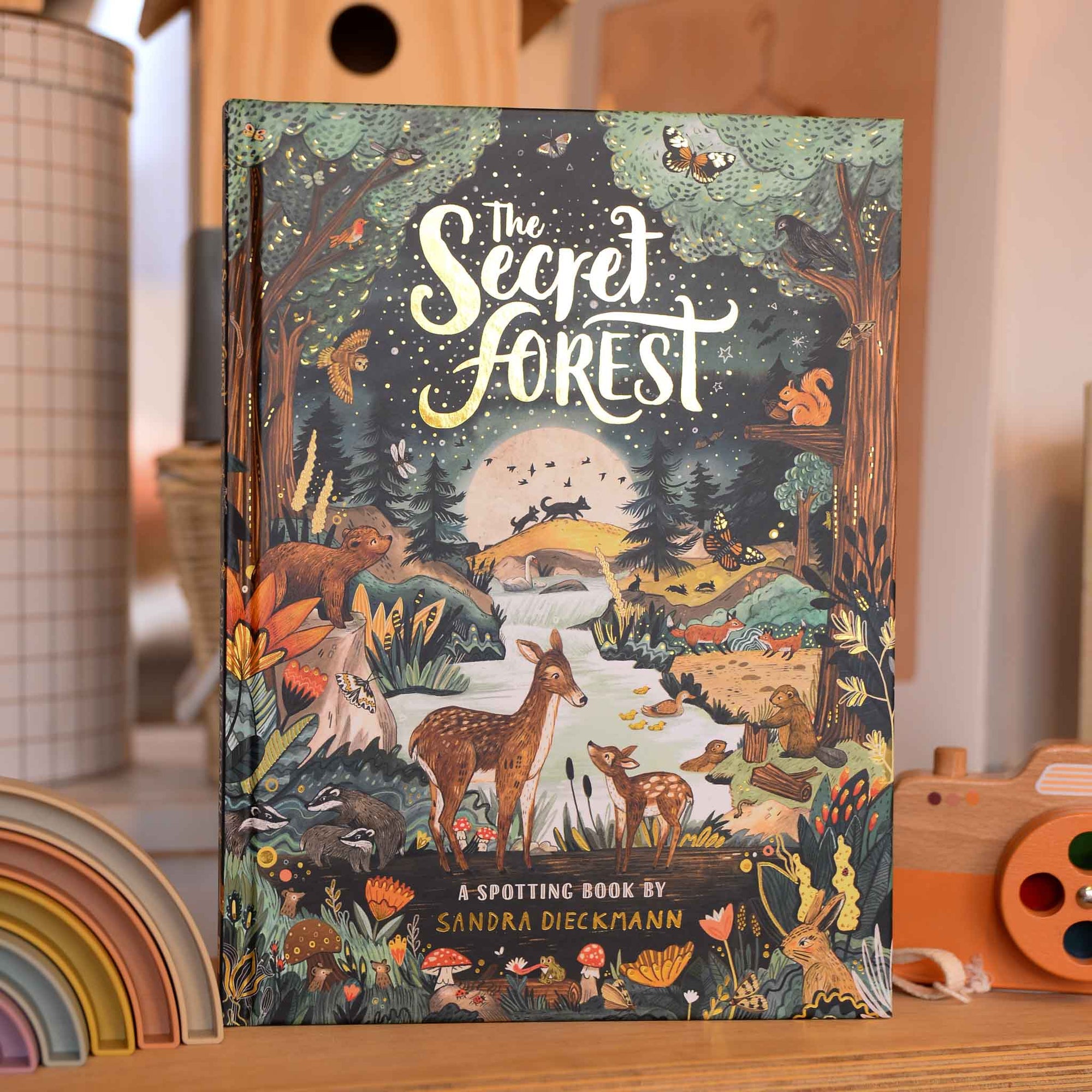 the-secret-forest