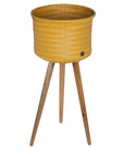 Handed-by-up-high-mustard