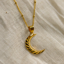 Load image into Gallery viewer, mara moon necklace
