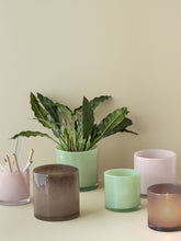 Load image into Gallery viewer, Akin Glass Plant Pots in Green /Sizes