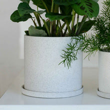 Load image into Gallery viewer, Hubsch White Speckle Ceramic Plant Pot large