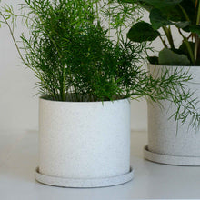 Load image into Gallery viewer, Hubsch White Speckle Ceramic Plant Pot small