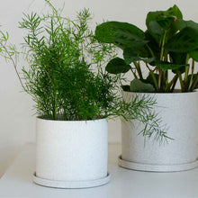 Load image into Gallery viewer, Hubsch White Speckle Ceramic Plant Pot