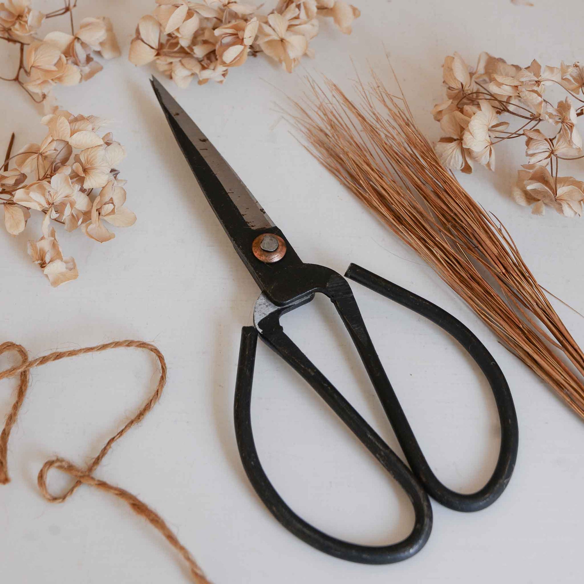 Black metal small scissors in large