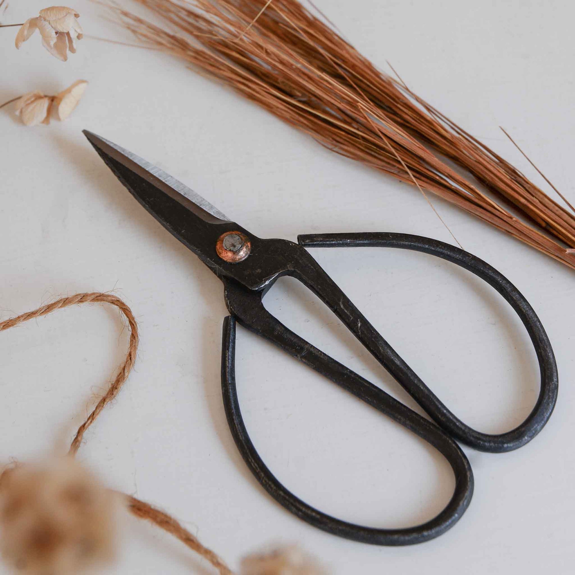 Black metal scissors in medium