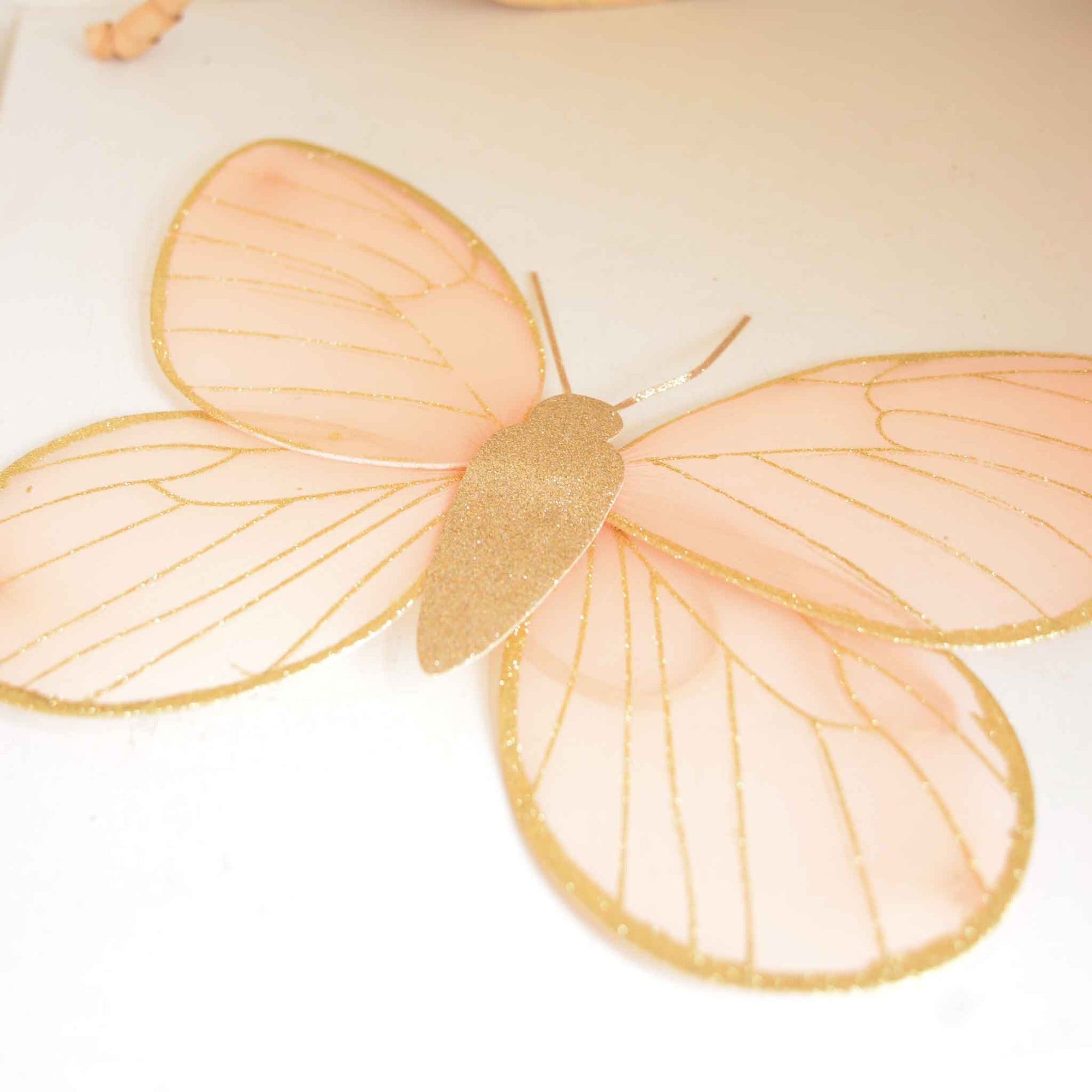 mimi-and-lula-dress-up-fairy-wings