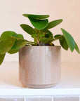 Wikholmform Lydia Pot in Light Pink