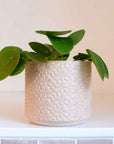 Wikholmform Lydia Pot in Light Pink