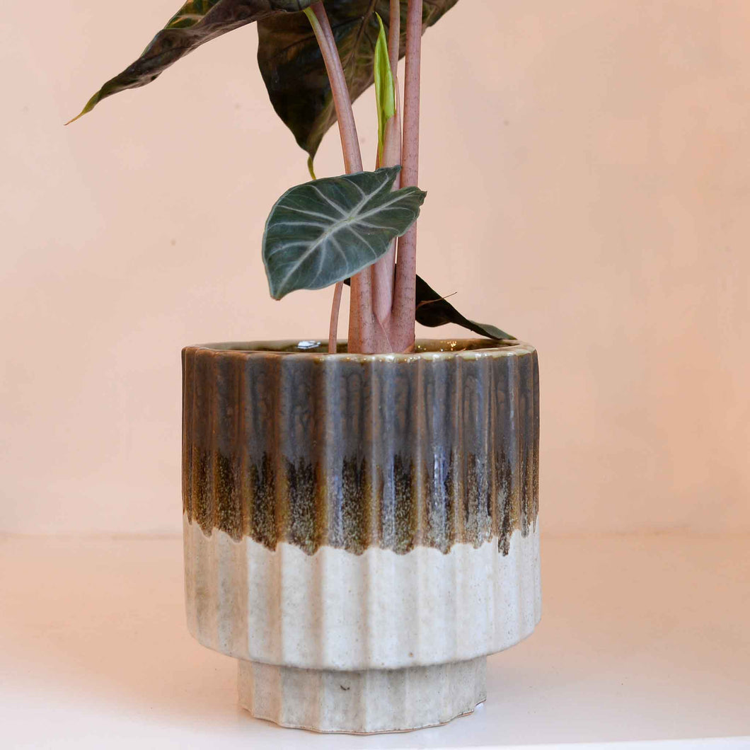 Wikholmform Raised Pot in Beige and Brown