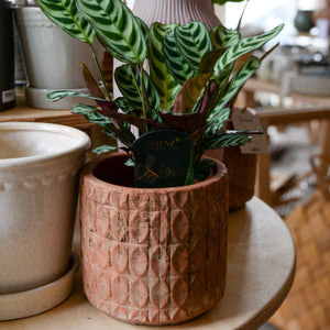 Leaf Patterned Terracotta Pot