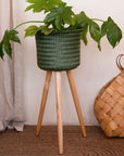 handed by up high plant stand forest green