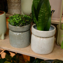 Load image into Gallery viewer, Nordal Isa Plant Pot in Light Green or Sand