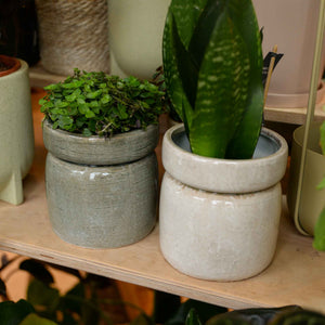 Nordal Isa Plant Pot in Light Green or Sand