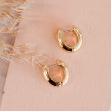 Load image into Gallery viewer, pilgrim-mine-earrings-gold