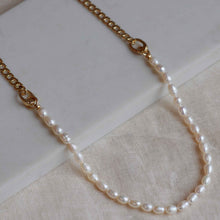 Load image into Gallery viewer, Precious Curb Chain and Freshwater Pearl Necklace