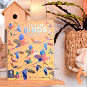 There are Birds Everywhere by Britta Teckentrup and  Camilla de la Bedoyere