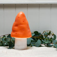 Load image into Gallery viewer, heico-terracotta-toadstool-light