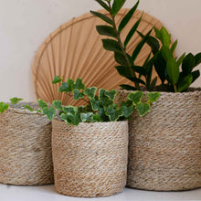 Load image into Gallery viewer, Wikholmform Natural Light Jute Planter