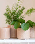 Wikholmform Lydia Pot in Light Pink