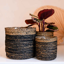 Load image into Gallery viewer, Wikholmform Natural Jute Planter with Black Stripes in Various Sizes
