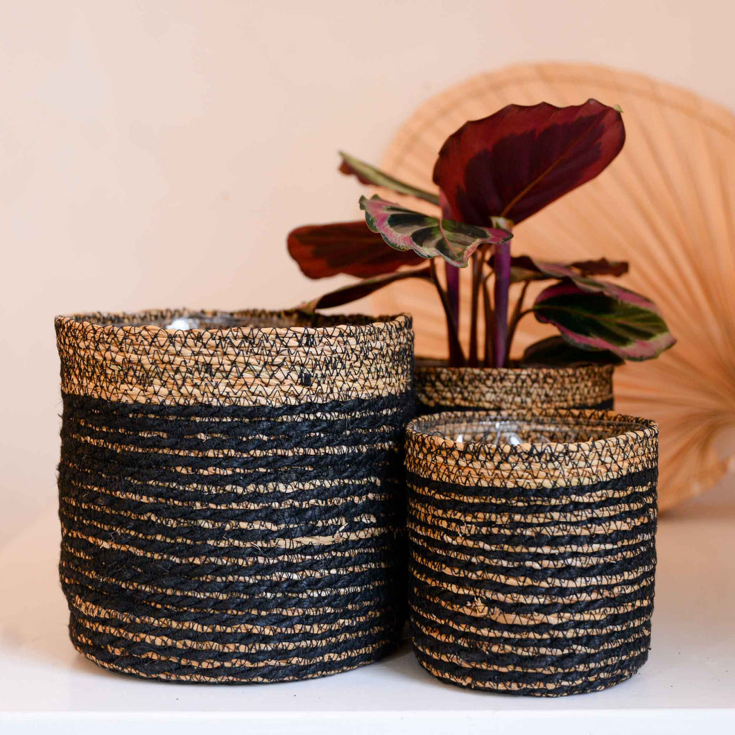 Wikholmform Natural Jute Planter with Black Stripes in Various Sizes